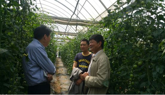 �߷ü����л�